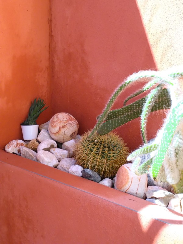 réalisation d'un jardin sec
