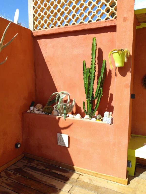 réalisation d'un jardin sec