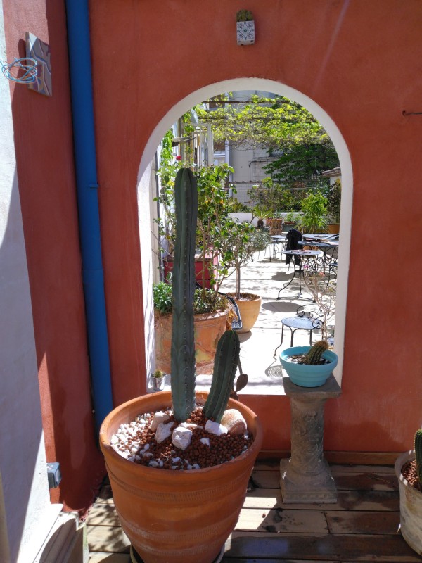 réalisation d'un jardin sec